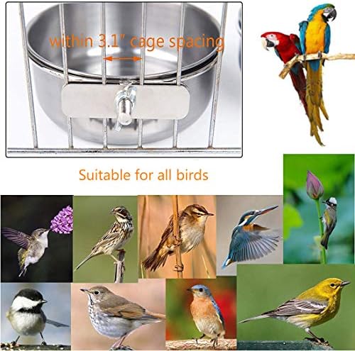 Hamıledyı Papağan Besleme Bardak, 5 ADET Kuşlar tabak Paslanmaz Çelik Parakeet Gıda Su Kaseleri Çanak Besleyici Tutucu