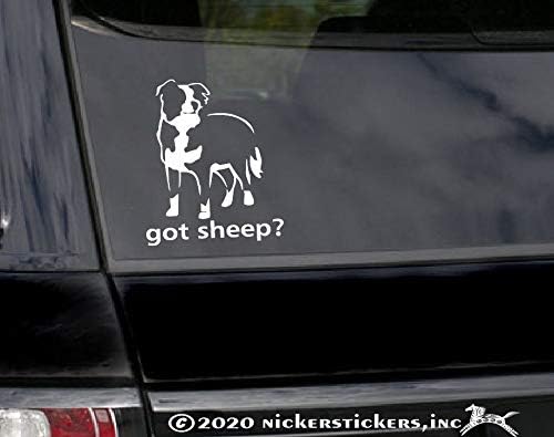 Koyunların Var mı? ~ Border Collie Vinil Pencere Otomatik Çıkartma