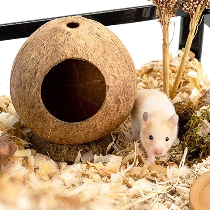 Z - one Hindistan Cevizi Hamster Hideout Hamster Evi Gerbil Kafesi Küçük Hayvanlar için 10 Doğal Elma Çubukları