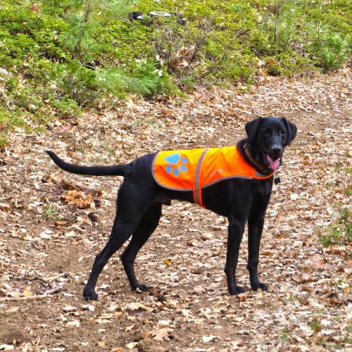 SafetyPUP XD-Yansıtıcı Köpek Yeleği. Yüksek Görünürlük, Floresan Alevli Turuncu Köpek Yeleği En iyi arkadaşınızı korumaya