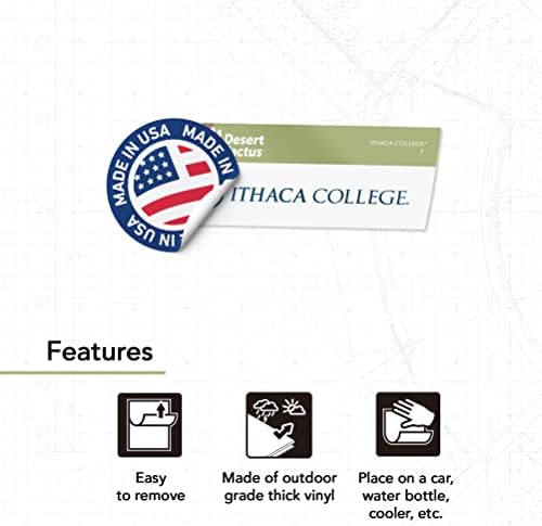 Ithaca Koleji IC Bombacıları Vinil Çıkartması Dizüstü Su Şişesi Araba Karalama Defteri Sticker (IND 1)