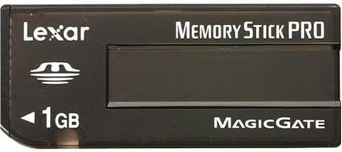 Lexar MS1GB-40-431 1GB Platin Bellek Çubuğu Pro