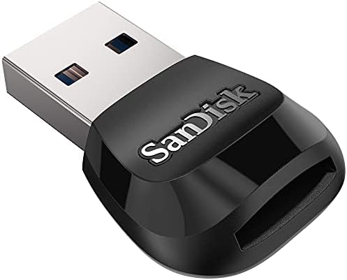 Çizgi Kam ve Ev İzleme Sistemleri için Adaptörlü SanDisk 256GB Yüksek Dayanıklılık Video microSDXC Kartı-C10, U3,