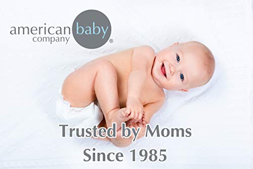 Amerikan Bebek Şirketi 100 % Doğal Yüce Pamuklu Jarse Örgü Gömme Taşınabilir / Mini Beşik Levha, Pembe, Yumuşak Nefes