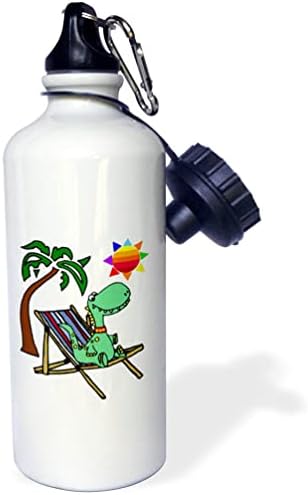 Plaj Sandalyesi ve Güneş ve Palmiye Ağacında 3dRose Komik Bebek Dinozor - Su Şişeleri (wb_356384_1)