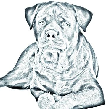 Rottweiler, Bir Köpek Görüntüsü ile Seramik Karodan Oval Mezar Taşı