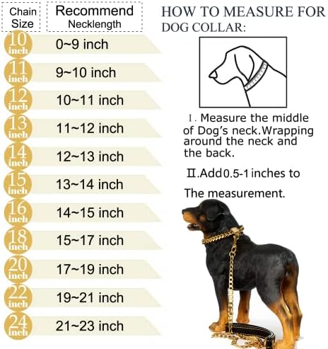 Tasarımcı Köpek Yaka Altın Metal Paslanmaz Çelik Zirkonya Kilidi ile 14mm 18 K Altın Büyük Köpek Lüks Eğitim Yaka
