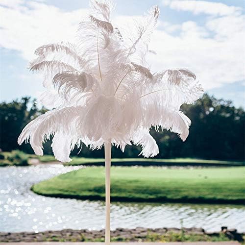 Zamihalaa Toptan Beyaz Devekuşu Tüyü 10 adet-200 adet 15-70cm DIY Tüyler İğne Düğün Dekorasyon Parti Plumas Karnaval