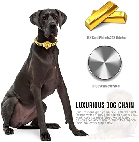Köpek Zinciri Yaka ile Bully Köpek Kolye ile Güvenli Yapış Toka 18 K Altın Paslanmaz Çelik 12MM Link Zinciri Yaka