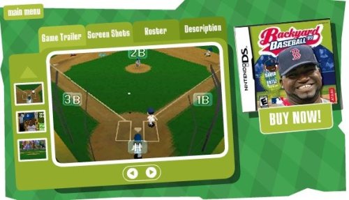 Arka Bahçe Beyzbolu 2009-Nintendo DS