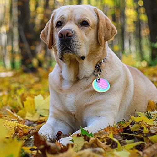 Renaissancey Komik Pet Etiketi Komik Köpek Etiketi Kazınmış Pet Etiketi Paslanmaz Çelik Pet Etiketleri Köpek Etiketi